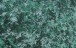 Декоративная краска Arteco 7 с эффектом античных стен цвет: col. 453 (изумрудный колер) - Интернет магазин сантехники Екатеринбург Sannet66.Ru / Саннэт